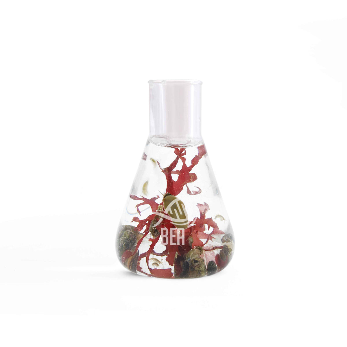 BEA Benthos KIT-A