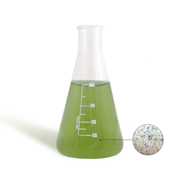 BEA Mesocosmo Micro